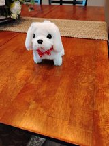 battery pet in Byron, Georgia