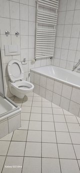MOVING ASSISTANCE/ TRASH HAULING/PCS CLEANING SERVICES GARDEN WORK in Ramstein, Germany