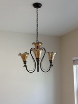 Chandelier- Hand Blown Glass 5 Light in Aurora, Illinois