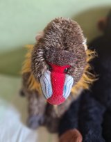 Monkey Rafiki from Lion King 45 cm high in Stuttgart, GE
