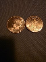 Copper Rounds in Alamogordo, New Mexico