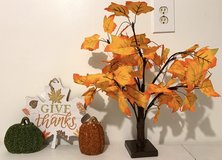 SALE PENDING - Fall Decor Bundle - Metal Cat - 2 pumpkin signs & 2 wood leaves in Chicago, Illinois