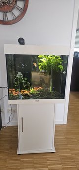 Complete Juwel Lido 120L Aquarium & Matching Stand - White in Ramstein, Germany