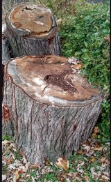 Free 2 large pieces of wood in Chicago, Illinois