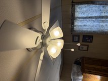 Ceiling light/fan. in Alamogordo, New Mexico
