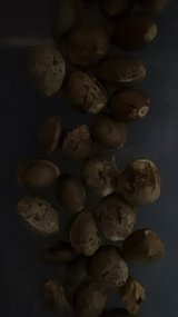 dranks and seeds hmu lmk in Edwards AFB, California