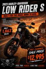 2023 Harley Davidson LOW RIDER S in Stuttgart, GE