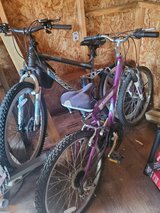 2 bikes in Spring, Texas