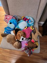 Dog Toys - Stuffed Animals in Camp Lejeune, North Carolina