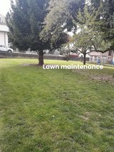 PCS/Deep Cleaning Junk/Trash Removal. Lawn and Yard Maintenance. in Ramstein, Germany