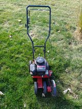 GAS Sidewalk Curb Lawn Edger in Plainfield, Illinois