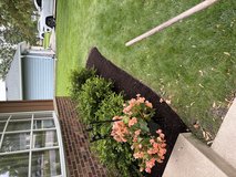 Brandon’s Landscaping mulching in Yorkville, Illinois