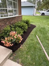 Brandon’s Landscaping mulching in Sugar Grove, Illinois