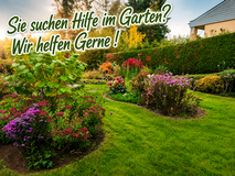 Haus und Garten Service in Ramstein, Germany
