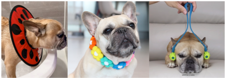 Pet Care Accessories in Warner Robins, Georgia