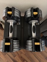 Dumbbells in Ramstein, Germany