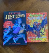 R. L. Stine Books in Plainfield, Illinois