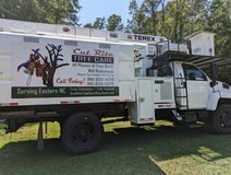 Tree Climber and Groundsman in Camp Lejeune, North Carolina