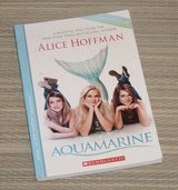 Vintage 2006 Aquamarine Book in Oswego, Illinois