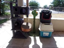 New Cat Tree-scratch poll -carrier-scratch pads in Alamogordo, New Mexico