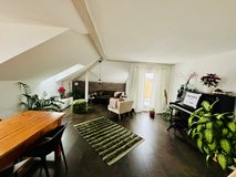Charming furnished 3 bedroom in Stuttgart, GE