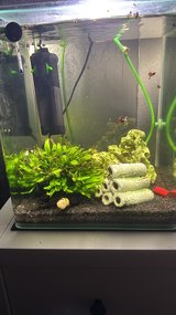 Nano Cube fishtank in Ramstein, Germany