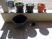 House Plants & Planters in Alamogordo, New Mexico