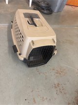 dog and cat in Alamogordo, New Mexico