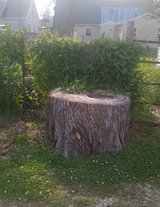 Free 1 Large piece of wood in Chicago, Illinois
