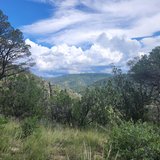 +/-37.95 Acres In Ruidoso-SELLER FINANCING--SALE OR LEASE in Alamogordo, New Mexico