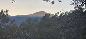 +/-37.95 Acres In Ruidoso-SELLER FINANCING--SALE OR LEASE in Ruidoso, New Mexico