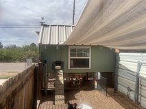 chicken shed and hens in Alamogordo, New Mexico