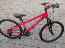 24" Mountain Bike – 6-Speed, Smooth Ride & Ready for Adventure in Ramstein, Germany
