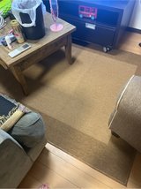 carpet in Okinawa, Japan
