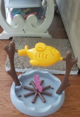 New Cat Toy in Kingwood, Texas