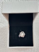 Pandora Charm in Bolingbrook, Illinois