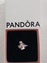 Pandora charm in Bolingbrook, Illinois