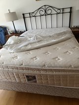 Free queen size Bed mattress and box spring in Stuttgart, GE