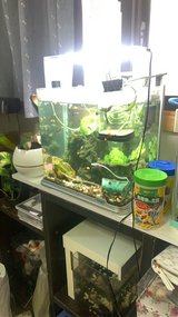 small tank for sale in Okinawa, Japan