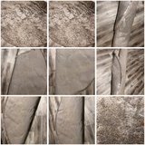 Grey Rug in Fort Campbell, Kentucky