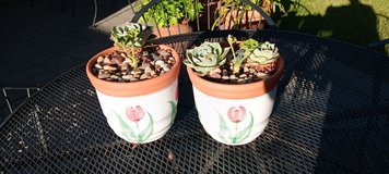 2 planters with succulents in Travis AFB, California
