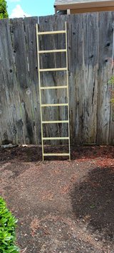 Garden ladder used for growing vines in Travis AFB, California