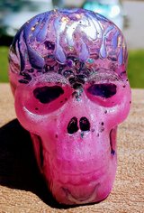 Skull resin in Beaufort, South Carolina