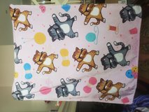 Cat Blankets in Houston, Texas