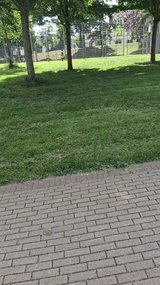 PCS CLEANING/GARDEN WORK/TRASH HAULING/MOVING ASSISTANCE in Ramstein, Germany