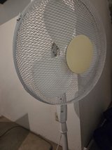 Fans 4 for $35 in Ramstein, Germany