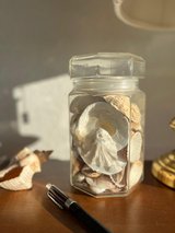 Glass Jar with Seashells in Stuttgart, GE