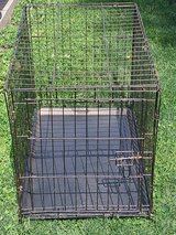 Dog Cage with tray in Joliet, Illinois