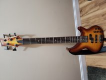 5 string bass guitar in Plainfield, Illinois