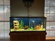 fish tank in Alamogordo, New Mexico